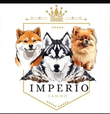 LIMPIEZA DE CENTRO DE CRÍA CANINO