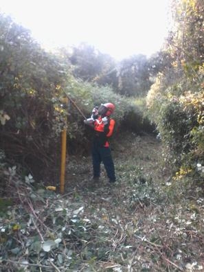 Peón Forestal