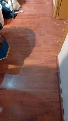 Ayuda limpieza hogar