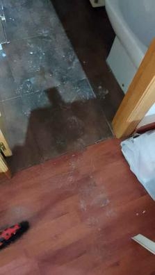Ayuda limpieza hogar