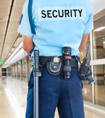 Vigilantes de Seguridad