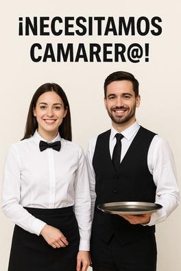 Se necesita camarer@ con experiencia