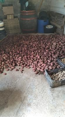 vendo papas tornado 2€/kg y 50€/30kg