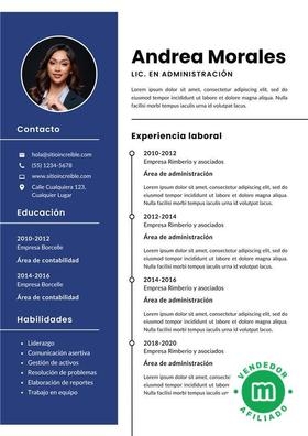 CV profesional