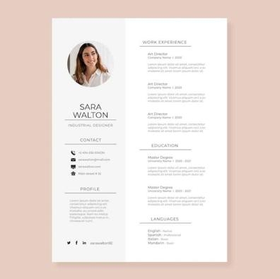 CURRÍCULUM PROFESIONAL ENTREGA INMEDIATA