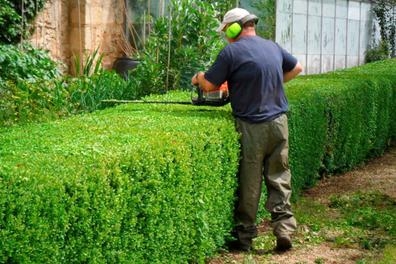 buscamos jardinero