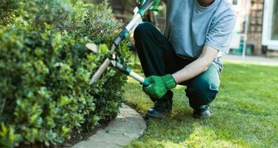 se necesita JARDINERO