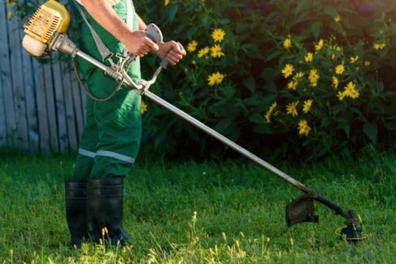JARDINERO CON EXPERIENCIA