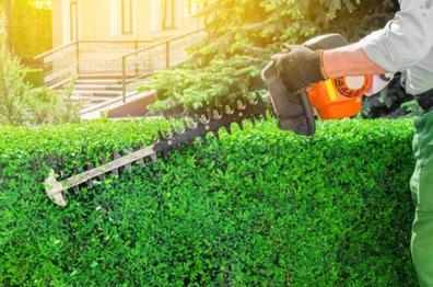 SE BUSCA JARDINERO
