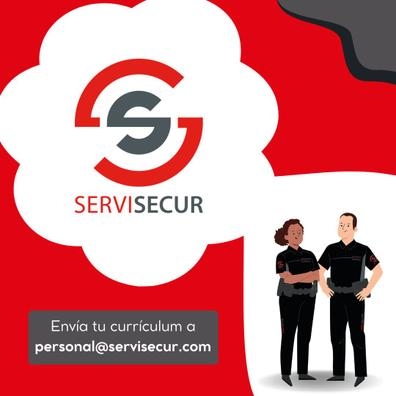 VIGILANTE DE SEGURIDAD - OLABERRIA (GIP)