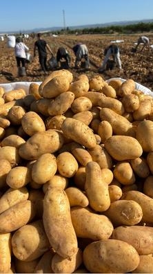 RECOLECCIÓN PATATAS