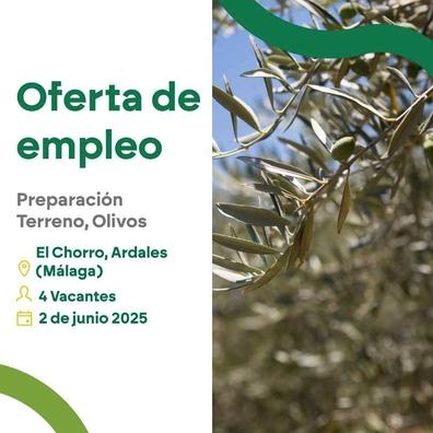4 personas - El chorro-Ardales (Malaga)