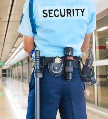 Vigilantes de Seguridad