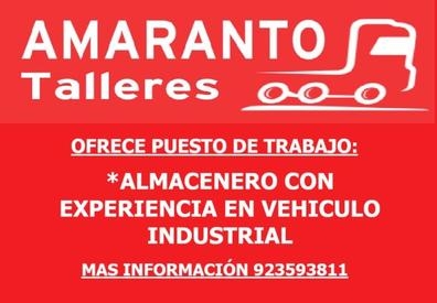 ALMACENERO ó RECAMBIASTA VI