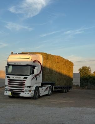 Conductor de Tráiler