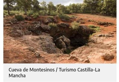 se busca mujer para guia turistica