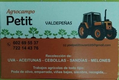 Agrocampo Petit
