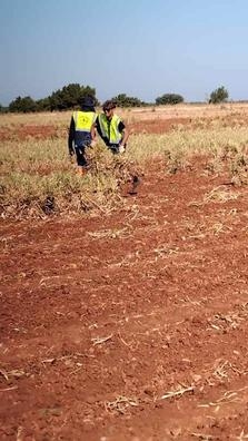 Agrocampo Petit