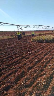 Agrocampo Petit