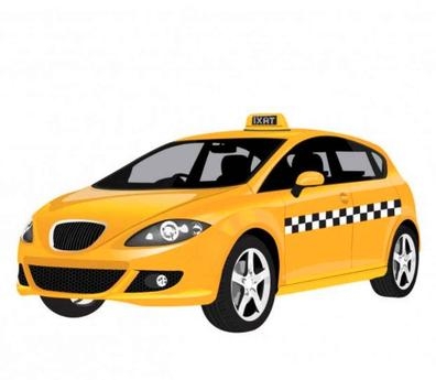 Conductor profesional de Taxi
