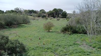 reformar mobile home