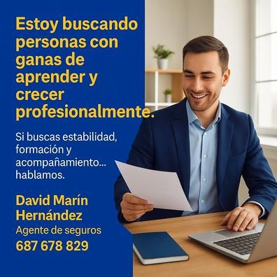Asesor de seguros