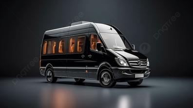 CONDUCTOR MINIBUS MADRID