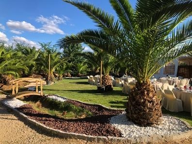 jardinería, mantenimiento de finca