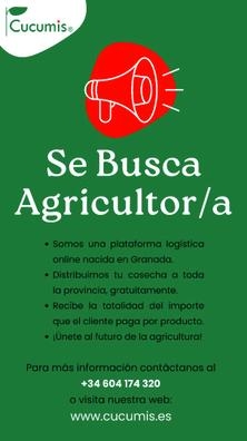 Asesor comercial Cucumis