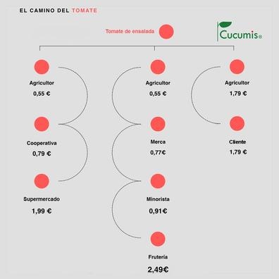 Asesor comercial Cucumis