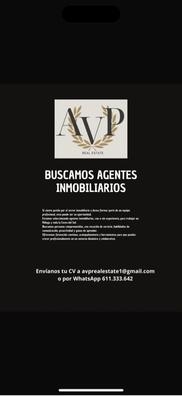 AGENTE INMOBILIARIO