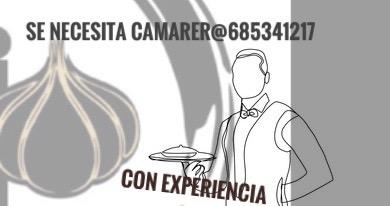 SE NECESITA CAMARER@
