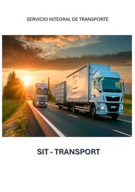 CONDUCTOR CAMION TRAILER
