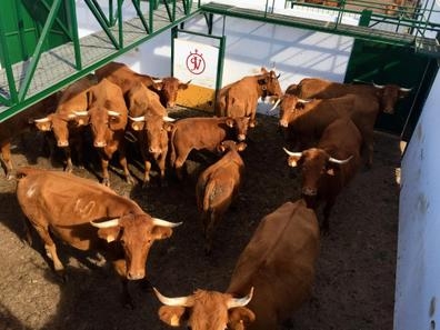 OFERTA DE EMPLEO – FINCA AGRÍCOLA