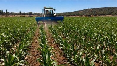 OFERTA DE EMPLEO – FINCA AGRÍCOLA