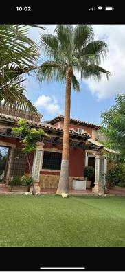 Jardinero o trepador