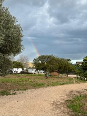 Mantenimiento en casa de campo