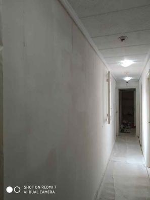 realizó trabajos de pintura