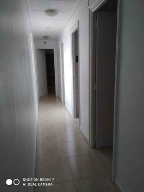 realizó trabajos de pintura