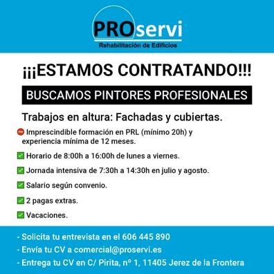 Pintor profesional trabajos en altura