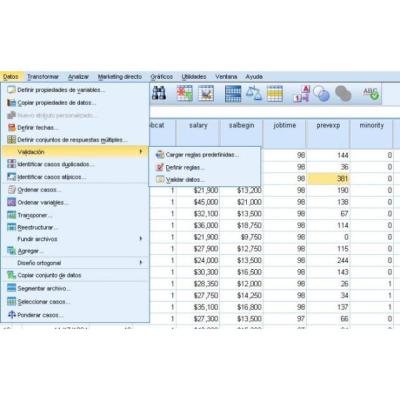 clases particulares de tecnicas con ayuda del programa spss