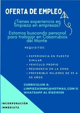 Limpiadora con experiencia