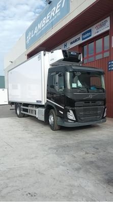chofer carnet C +E