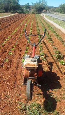 empresa agrícola ?