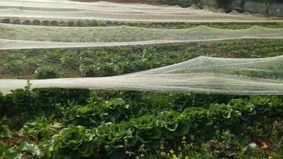 empresa agrícola ?