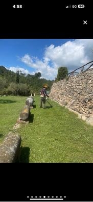 limpieza de fincas y leñador etc