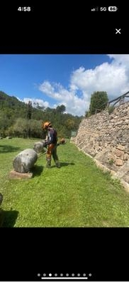 limpieza de fincas y leñador etc