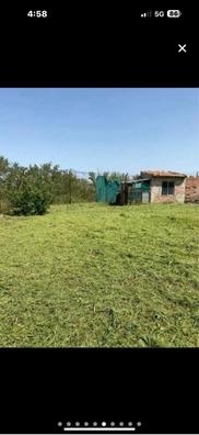 limpieza de fincas y leñador etc