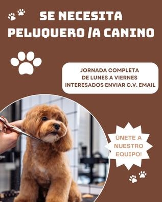 PELUQUERO/A CANINO