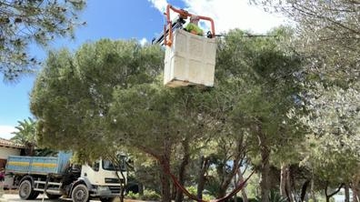 jardineria,agricultura y ganadería